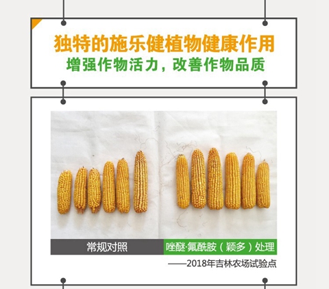 随着颖多03的加入巴斯夫施乐健产品系列目前包括:健达03,凯润03